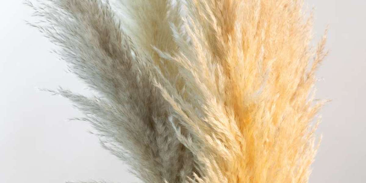 Transform Your Home Decor with the Mesmerizing Beauty of Pampas Grass: 7 Stunning Ideas