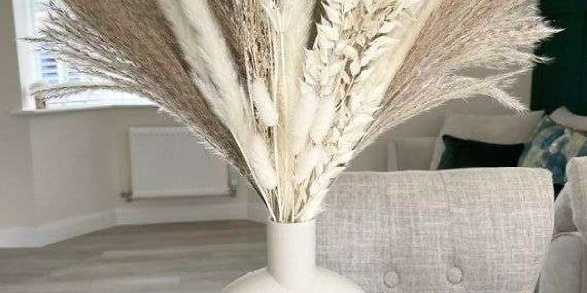 Discover the Allure of Dried Pampas Grass: The Perfect Home Decor Accessory