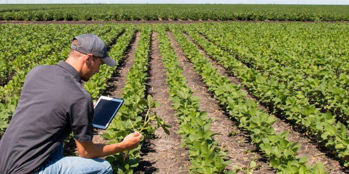 Farm Management Software Market Opportunities, Challenges, Drivers And Global Forecast To 2032