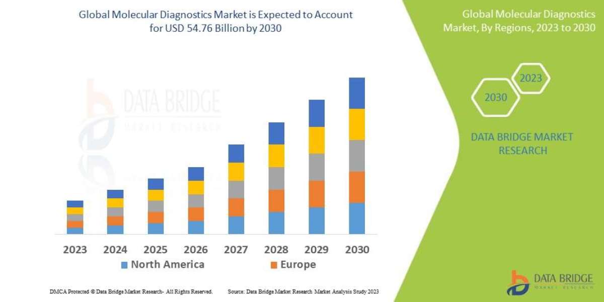 Molecular Diagnostics  Market Overview, Growth Analysis, Share, Opportunities, Trends and Global Forecast By 2030