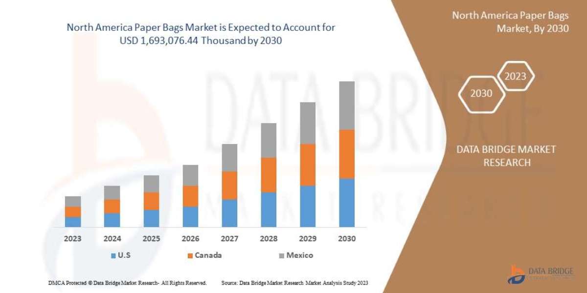 North America Paper Bags Market Trends, Share, Industry Size, Growth, Demand, Opportunities and Global Forecast By 2030