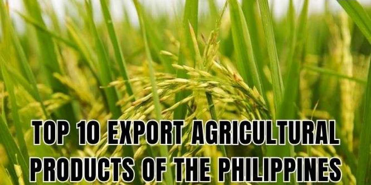 Exploring the Philippines' Key Exports