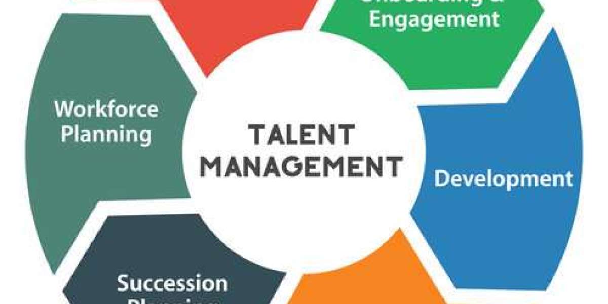 Talent Management Software Market Insights - Global Analysis and Forecast by 2032