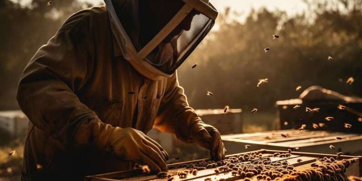 Requeening a Hive: A Step-by-Step Guide for Beekeepers