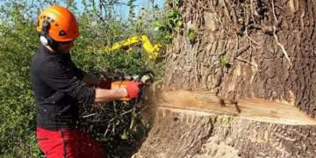 Why stump grinding is required on agriculture land?