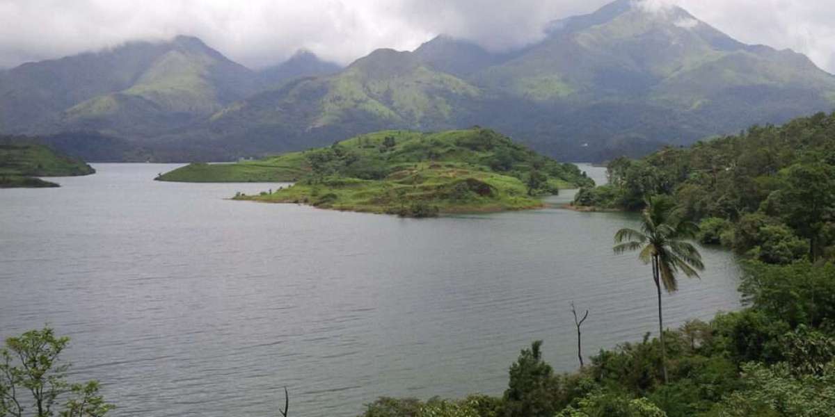 Exploring Wayanad: A Paradise for Nature Enthusiasts