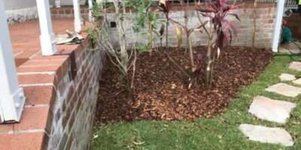 How to decorate your garden with landscaping service?
