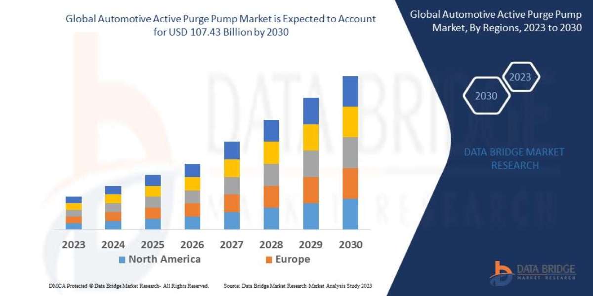 Automotive Active Purge Pump Market Emerging Trends and Forecast by 2030.