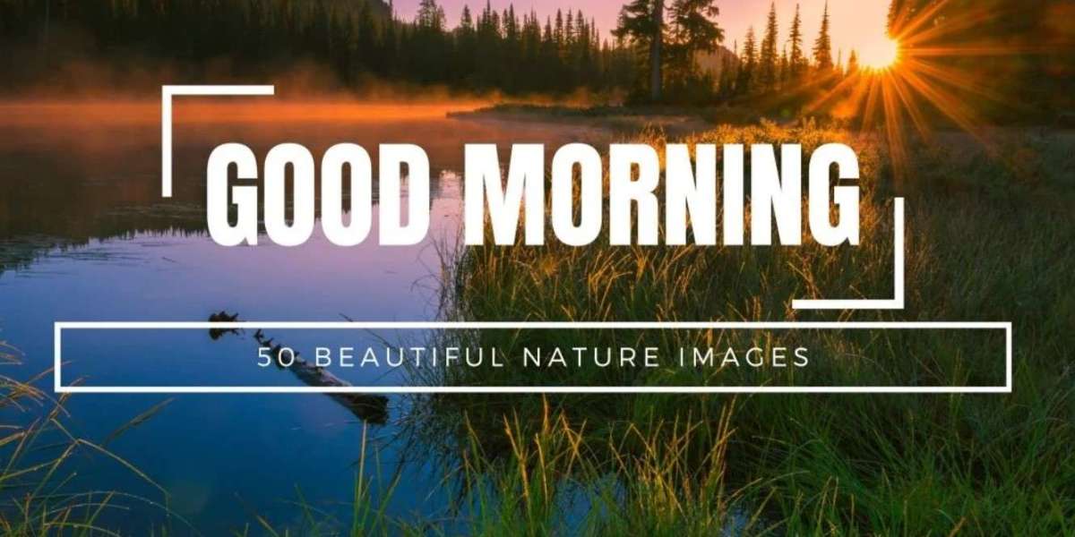 Nature's Morning Serenity: Captivating Good Morning Images to Start Your Day