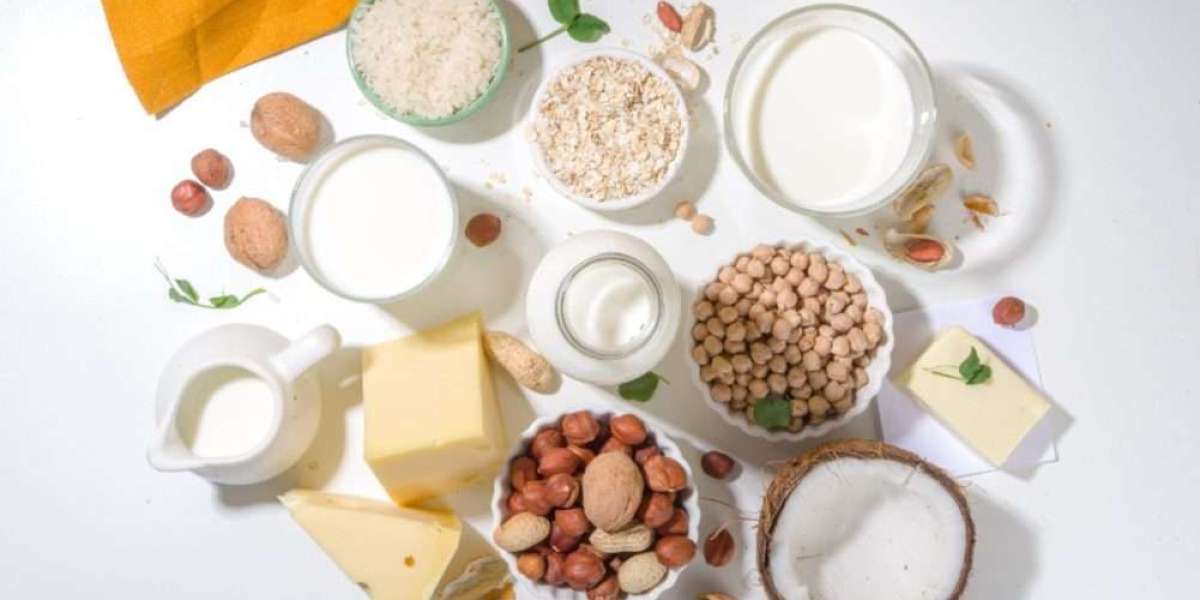 Alternative Proteins Market: A Complete Guide for Investors and Researchers