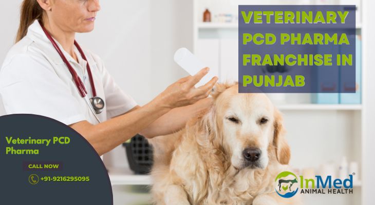 Veterinary Pharma Franchise in Punjab - Inmed Animal Health
