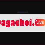 dagachoi live