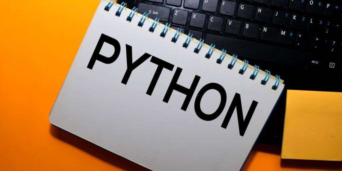 Python vs. Other Programming Languages: What Makes Python Stand Out?
