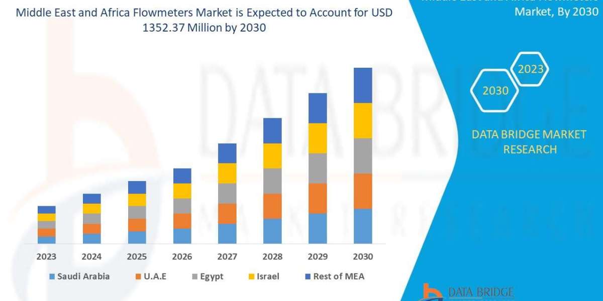 Middle East and Africa Flowmeters Market Latest Innovation and Growth by 2030.