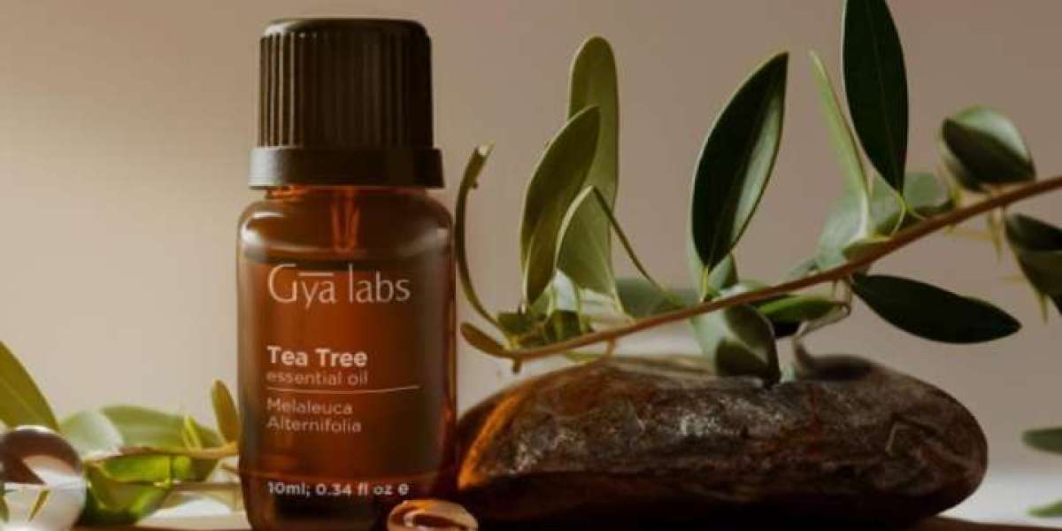 The Benefits of Tea Tree Oil for Your Haircare Routine