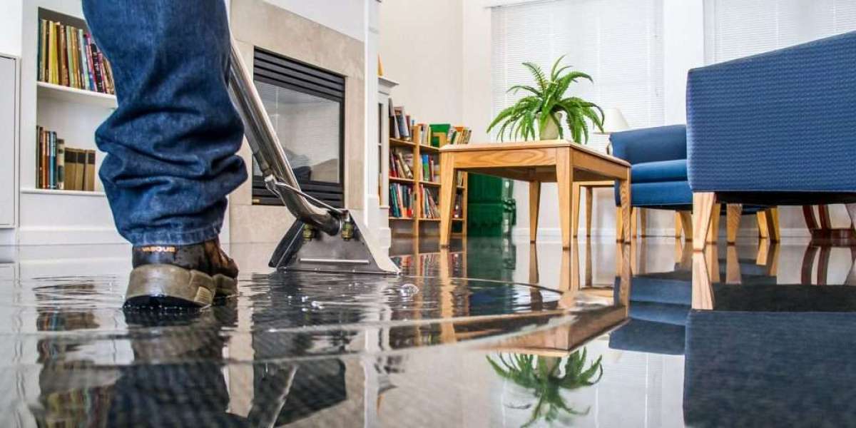 Why is Professional Water Damage Restoration Important?