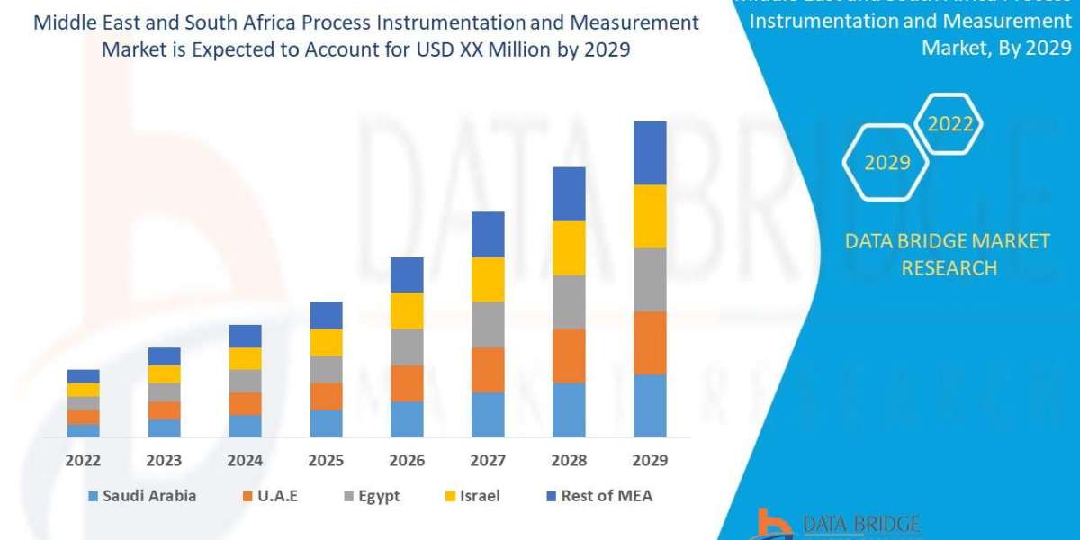 Middle East and South Africa Process Instrumentation and Measurement Market : 2029