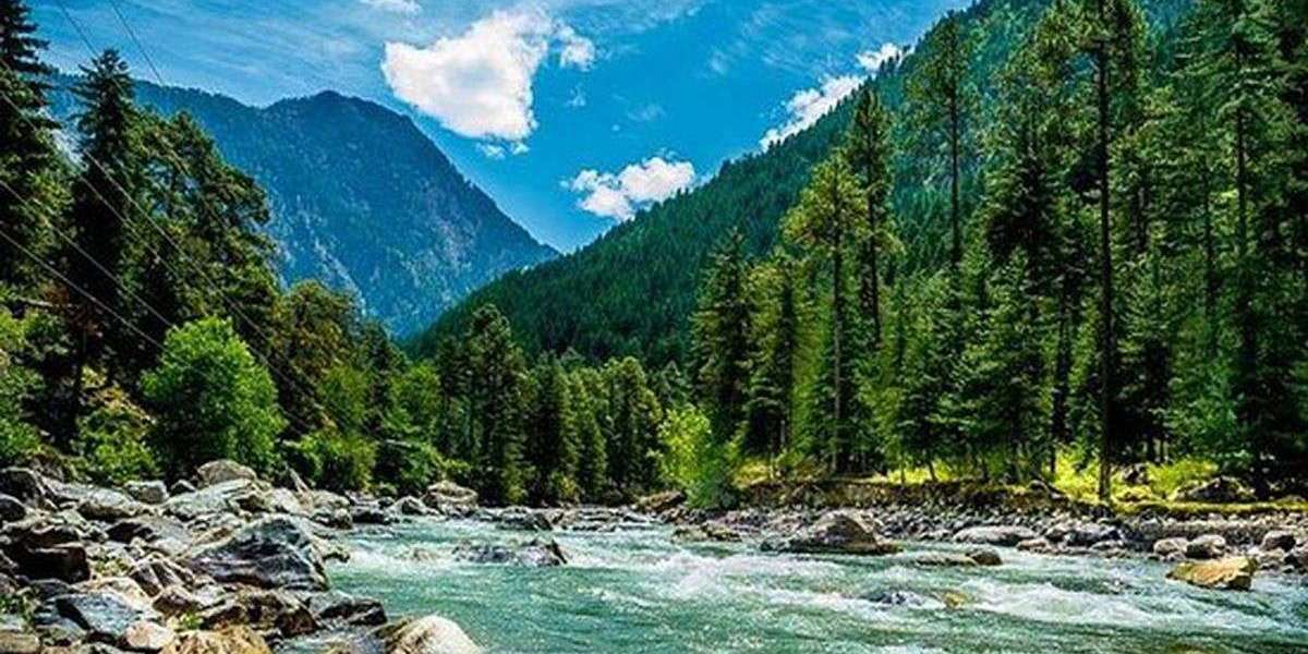 Tosh and Beyond: Trekking into the Heart of Parvati Valley's Cultural Richness