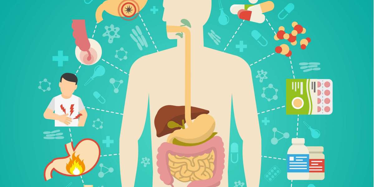 Gastrointestinal Drugs Market Share of Top Key Players with Tactics for Industry Growth