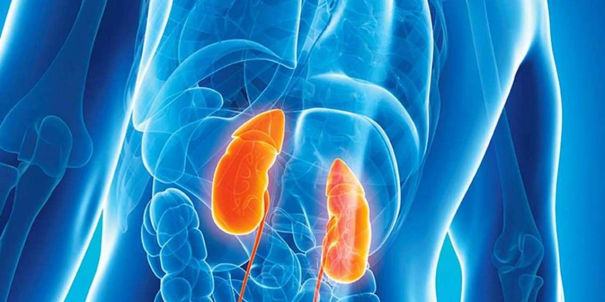 Global Renal Disease Market Share Emergence, Insights on Industry Size