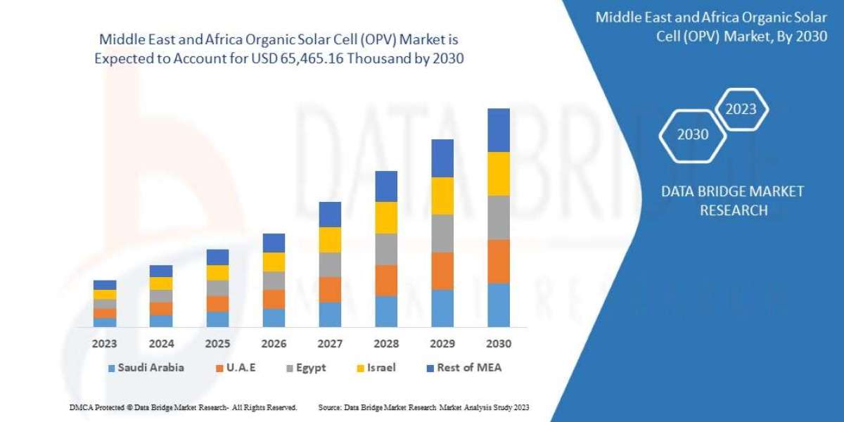 Trends and Opportunities in the Middle East and Africa Organic Solar Cell (OPV) Market