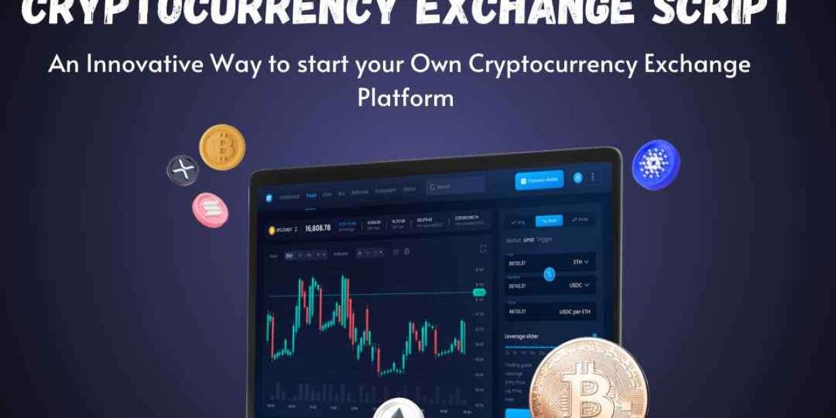 The Ultimate Guide to Choosing the Best Crypto Exchange Script for Your Business