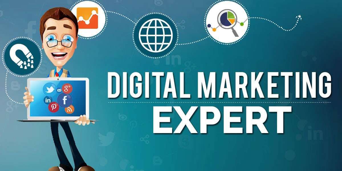 Digital marketing Expert In Delhi