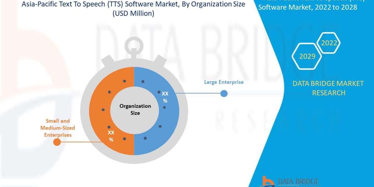 Asia-Pacific Text To Speech (TTS) Software Key Players Overview and Technologies by 2029.