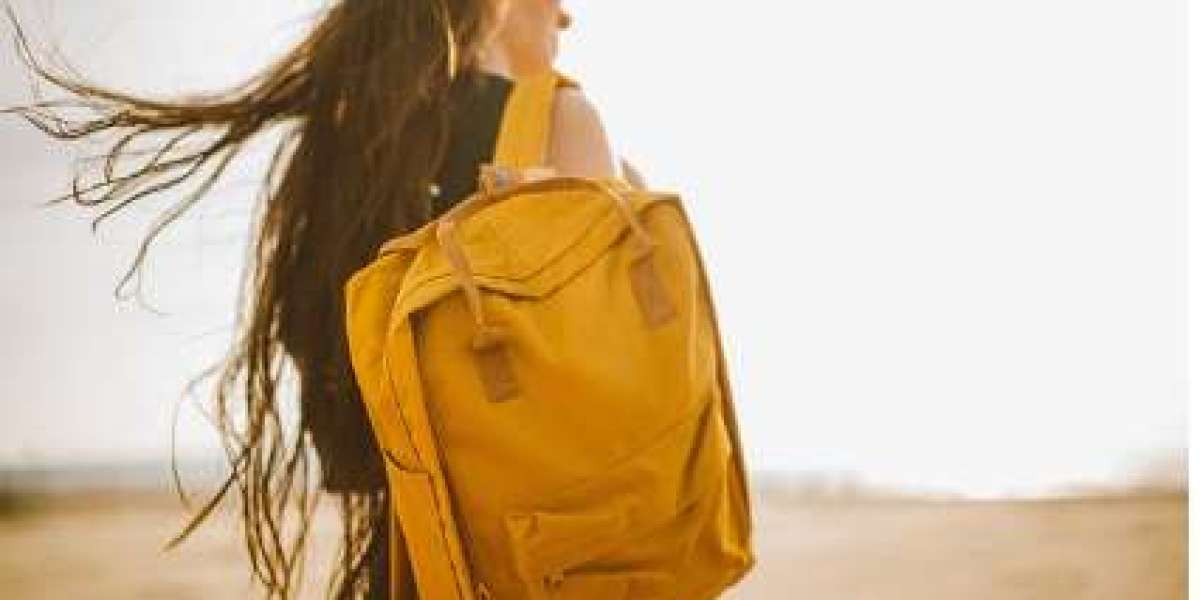 Building a Successful Brand with the Travel Backpacks Wholesalers