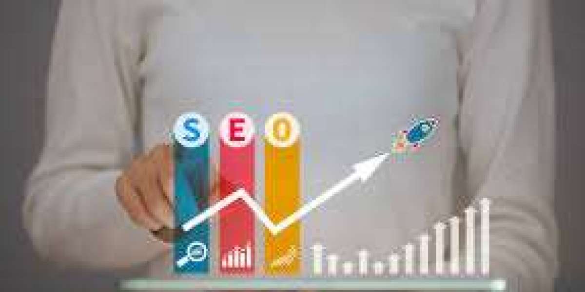 SEO Expert in Tampa bay area