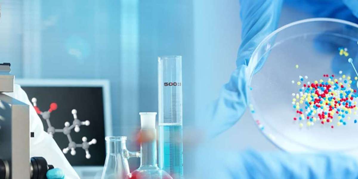 Research Report: Analyzing Clinical Reference Laboratory Market