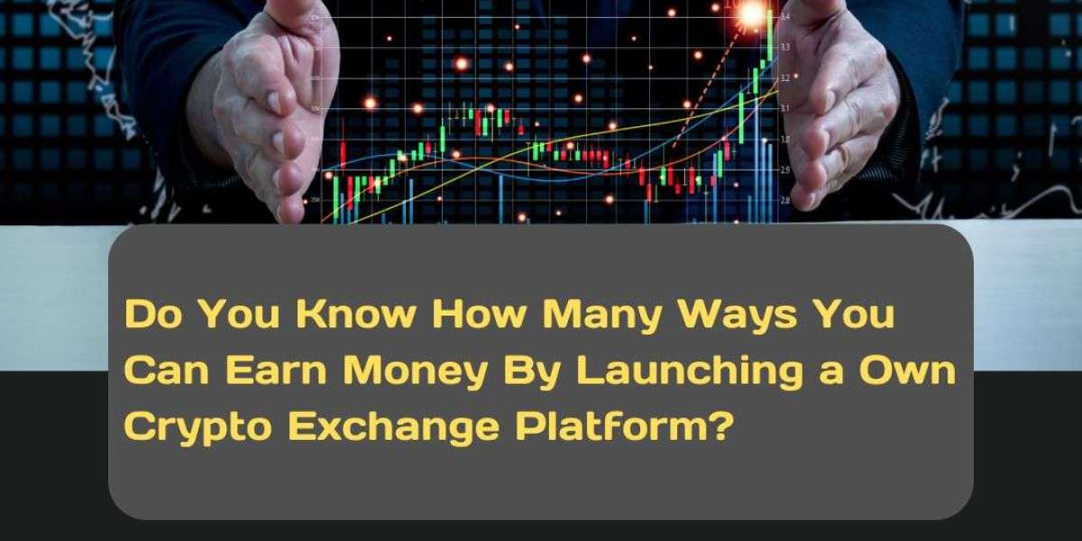 4 Ways You Can Earn Money By Launching a Own Crypto Exchange Platform