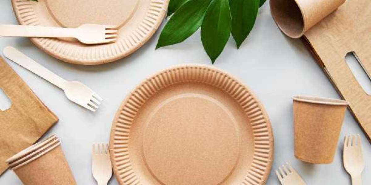 Biodegradable Tableware Market by Competitor Analysis, Regional Portfolio, and Forecast 2030