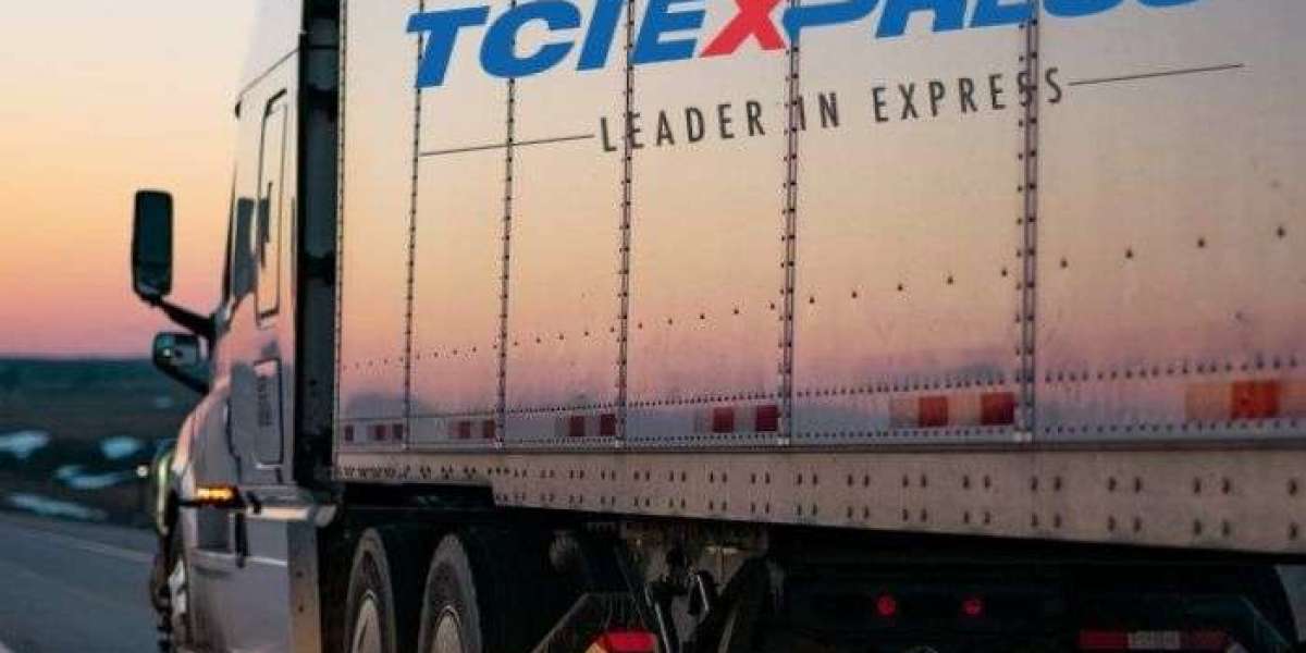 Unleashing Excellence: TCI Express - India's Foremost Logistics Powerhouse