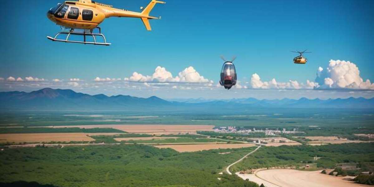 Elevating Precision: Helicopter Aerial Surveys in Florida's Powerline Industry