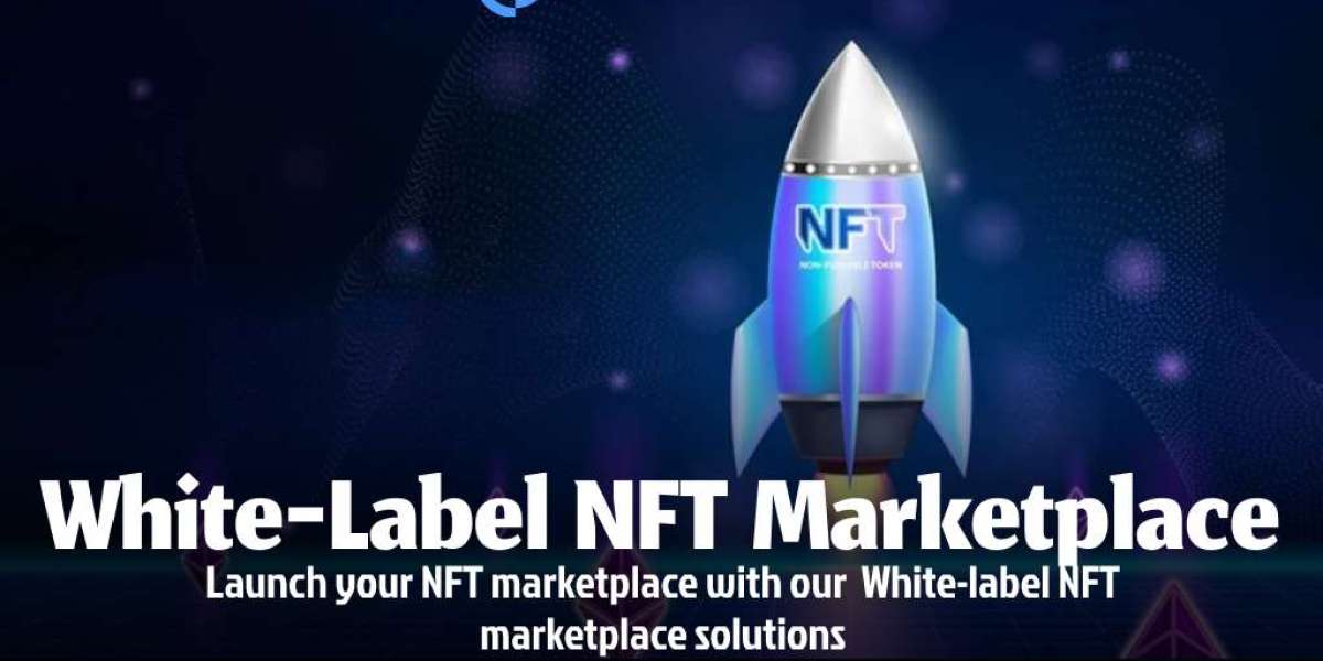 White Label NFT Marketplace- Build your Own NFT Empire