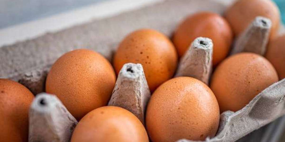 Cage Free Eggs Market Trends, Category by Type, Top Companies, and Forecast 2030