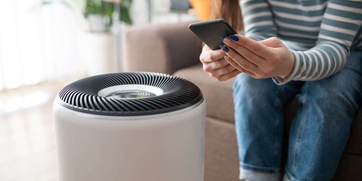 Portable Air Purifier Market 2023 Rising Trends, Demand And Global Opportunity