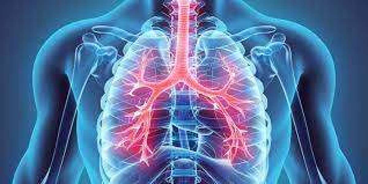 Nurturing Respiratory Health: A Comprehensive Guide