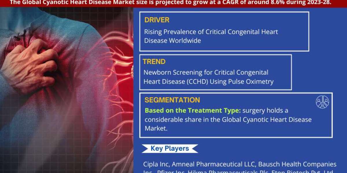 2028 Global Cyanotic Heart Disease Market Analysis: Key Players and Growth Forecast