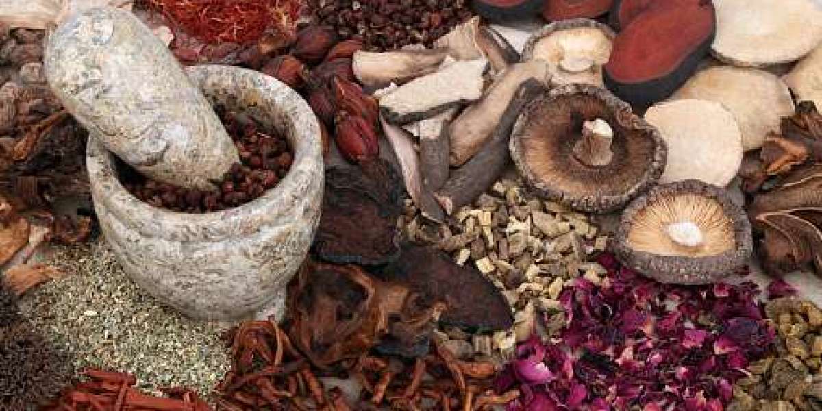 Medicinal Mushroom Market Size, Top Competitors, Growth by Regional Investment 2032