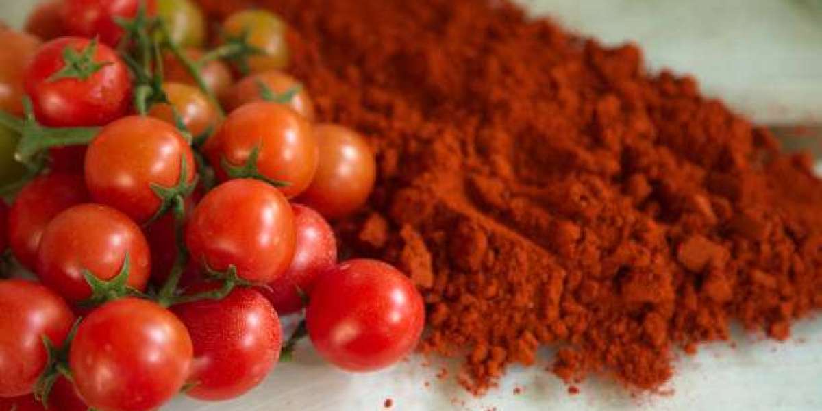 Tomato Powder Market Insights: Companies with Revenue and Forecast 2032