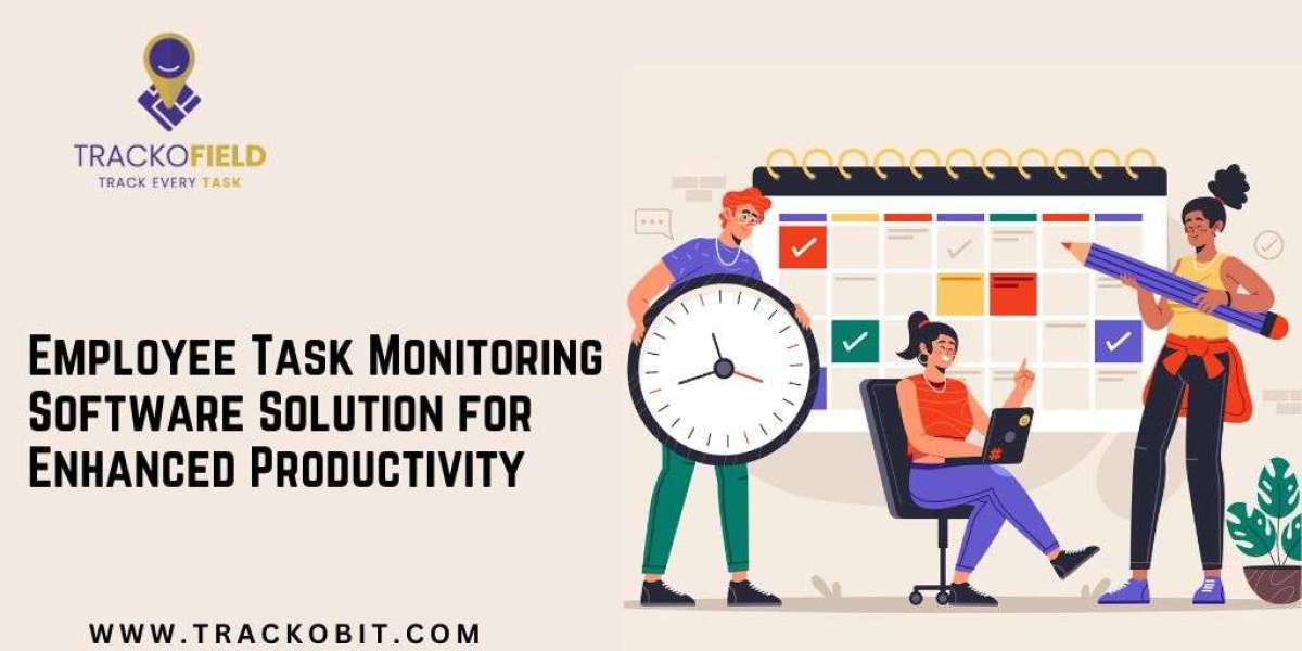 Employee Task Monitoring Software Solution for Enhanced Productivity