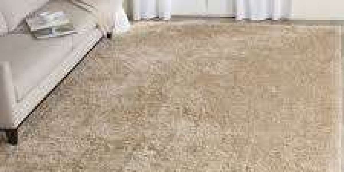 Elevate Your Living Environment with Professional Carpet Cleaning Services