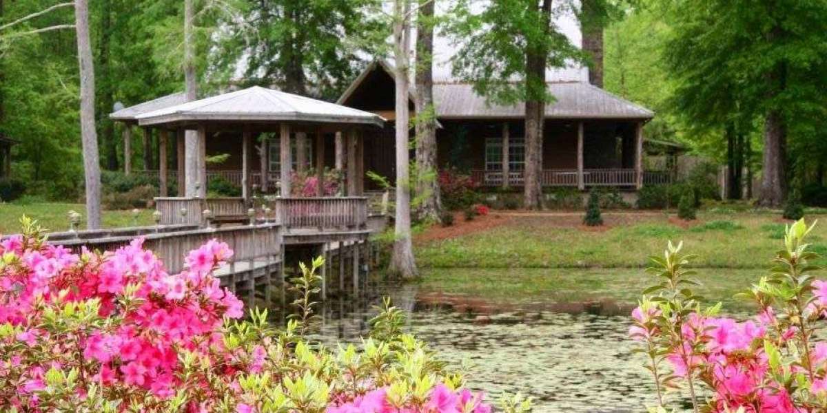 Discovering Mississippi's Perfect Weekend Getaways for Every Occasion