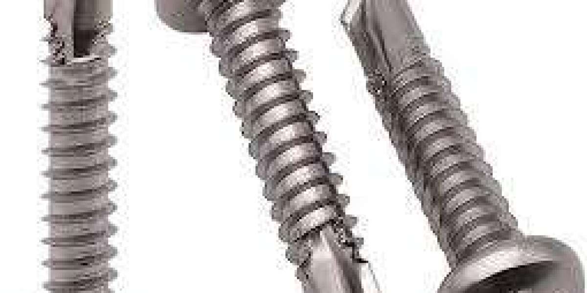 The Versatility of Stainless Steel Screws: Your FAQs Answered