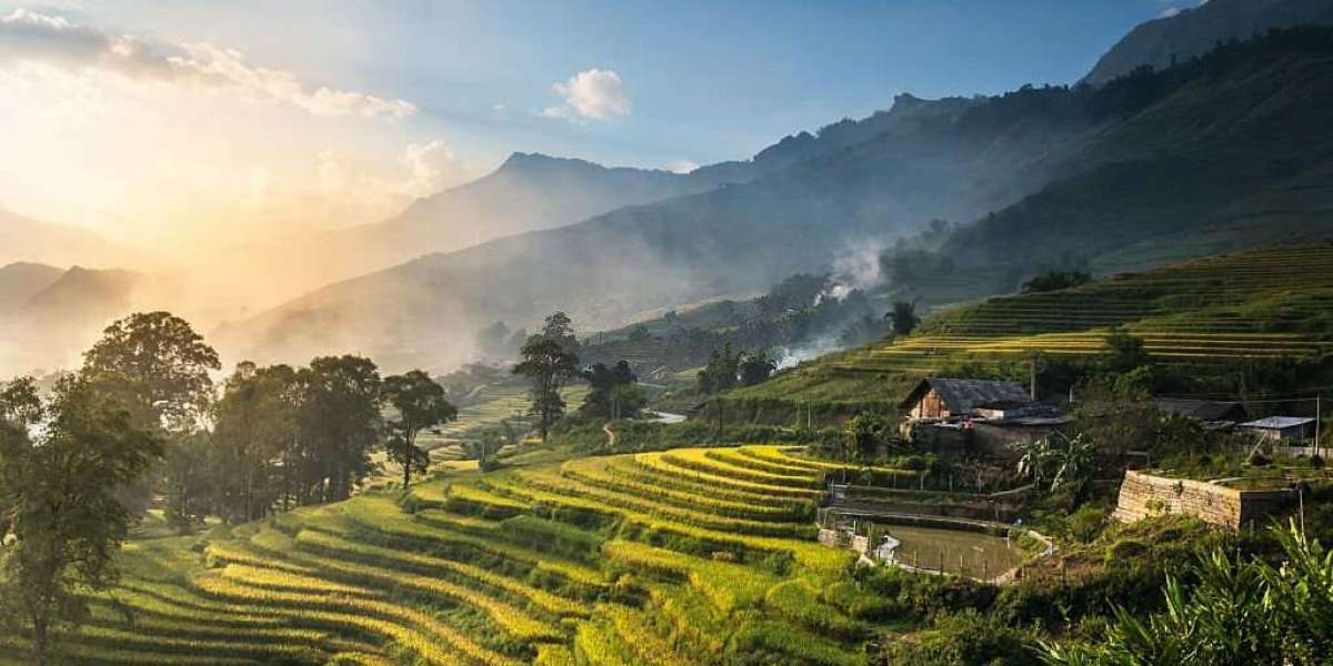 Vietnam Traval Agency: Your Gateway to Authentic Experiences