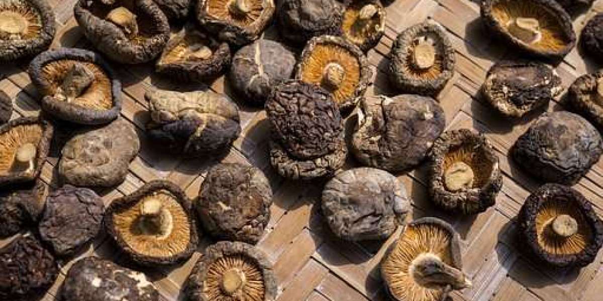Shiitake Mushroom Market Size, by Top Companies, Regional Growth, and Forecast 2032