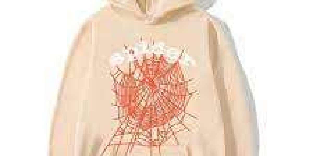 Spider Hoodies and Fashion Brands