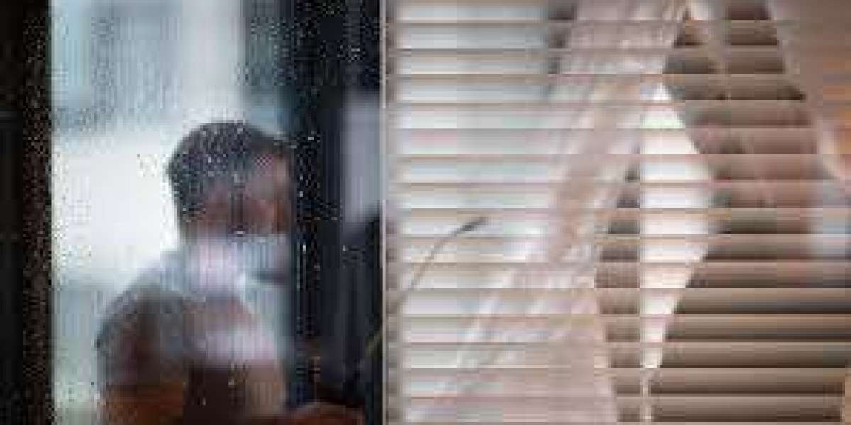 Window Film Market Share, Industry Analysis, Trends and Forecast 2023-2028